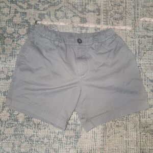 Chubbies Men's Gray Shorts